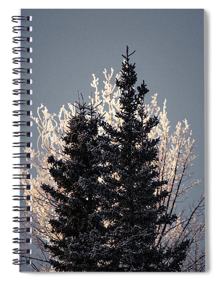 Alaska Spiral Notebook featuring the photograph Foggy Days and Foggy Nights by Fred Denner