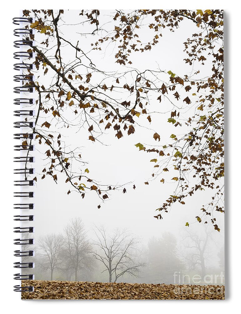Foggy Spiral Notebook featuring the photograph Foggy Morning at the Lake by Tamara Becker
