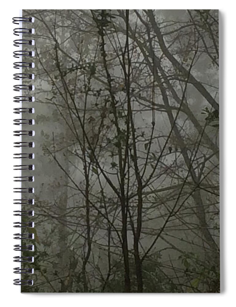 Fog Spiral Notebook featuring the photograph Foggy Woods Photo by Gina O'Brien