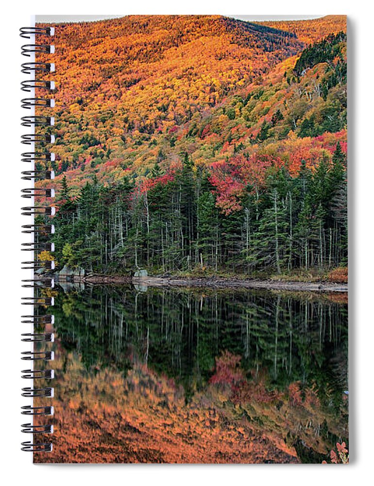 Beaver Pond Spiral Notebook featuring the photograph foliage at dawn on Beaver pond by Jeff Folger