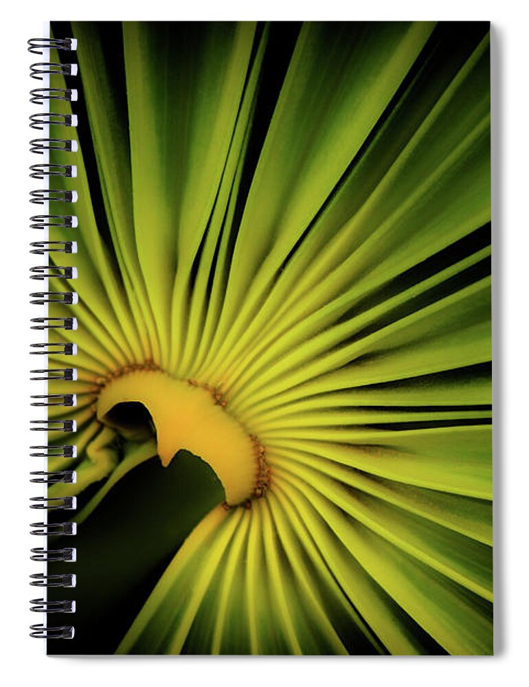 Foliage Spiral Notebook featuring the photograph Foliage Burst by Becqi Sherman