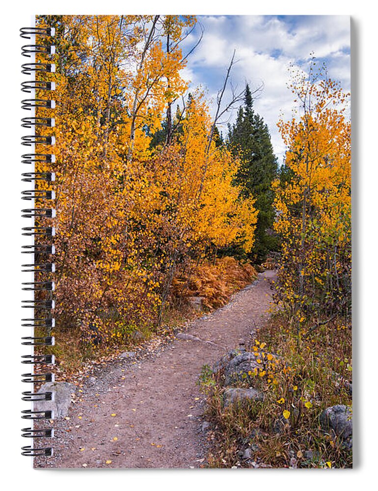 Estes Spiral Notebook featuring the photograph Follow the Yellow Road - Glacier Gorge Rocky Mountain National Park - Estes Park Colorado by Silvio Ligutti