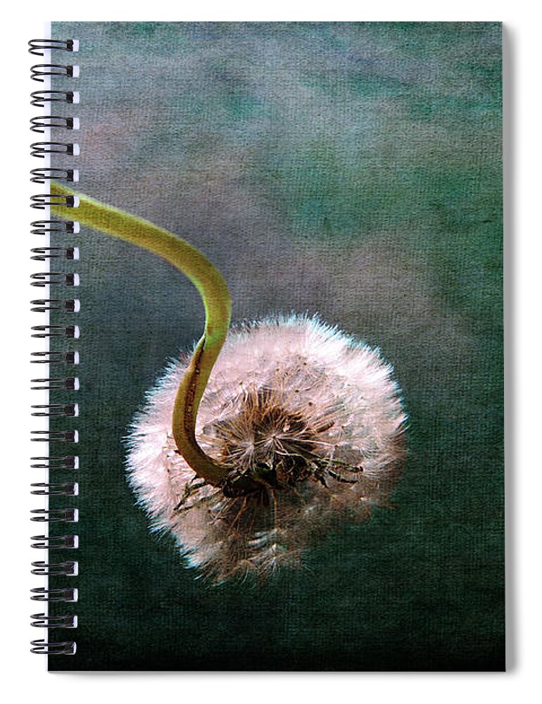 Contemporary Spiral Notebook featuring the photograph Follow Your Dreams by Randi Grace Nilsberg