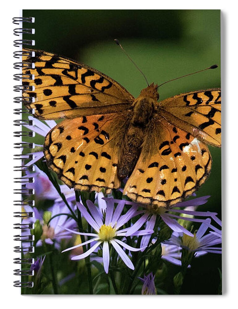 Flower Spiral Notebook featuring the photograph For Love of Summer by Jody Partin