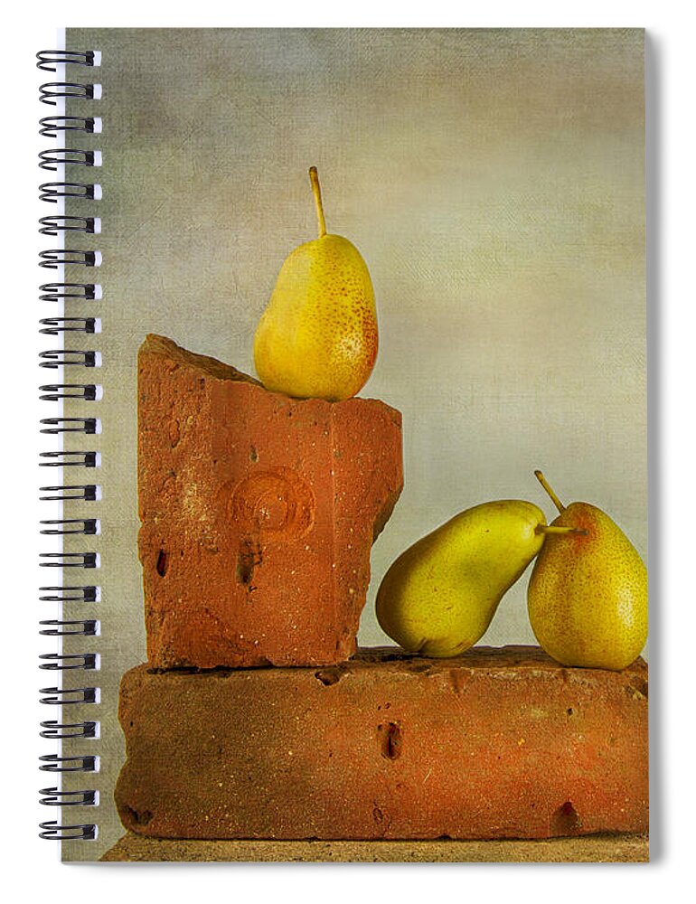Dutch Masters Spiral Notebook featuring the photograph Forelle Pears by Theresa Tahara