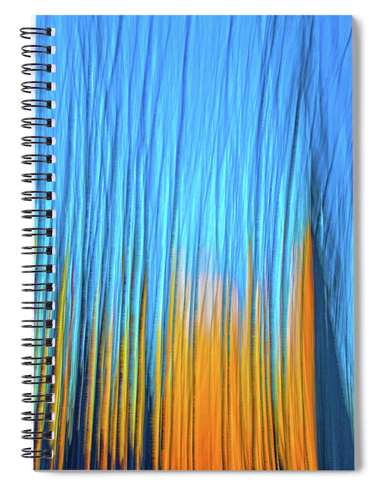 Trees Spiral Notebook featuring the photograph Forest Fire by Tony Beck