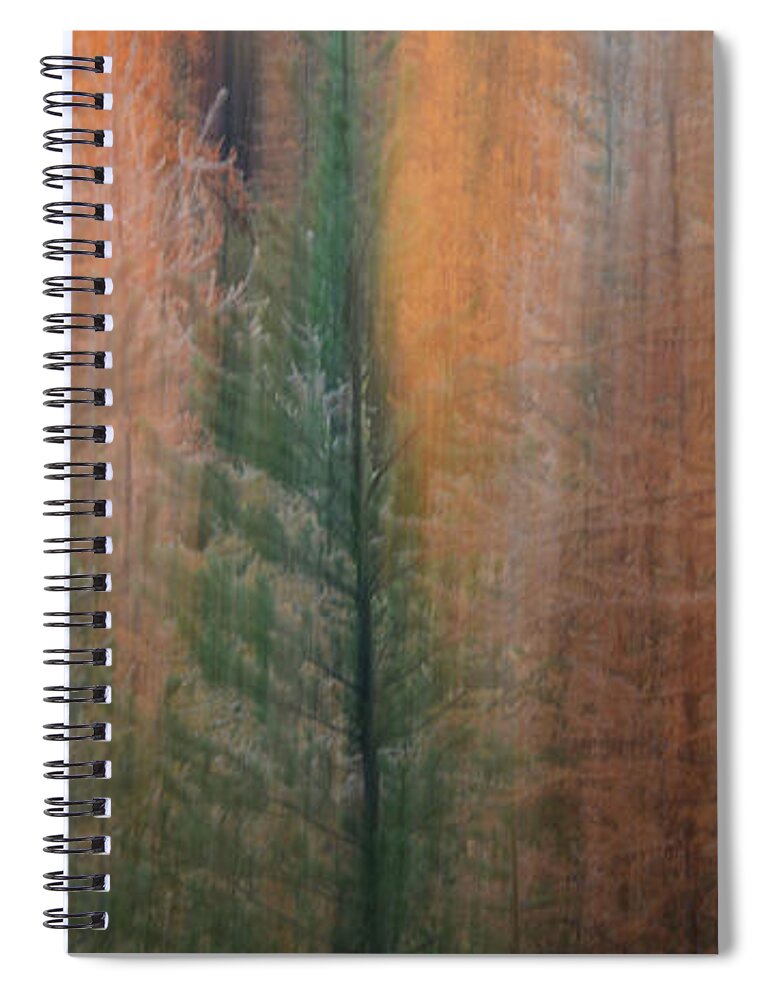 Autumn Spiral Notebook featuring the photograph Forest Illusion- Autumn Born by Whispering Peaks Photography