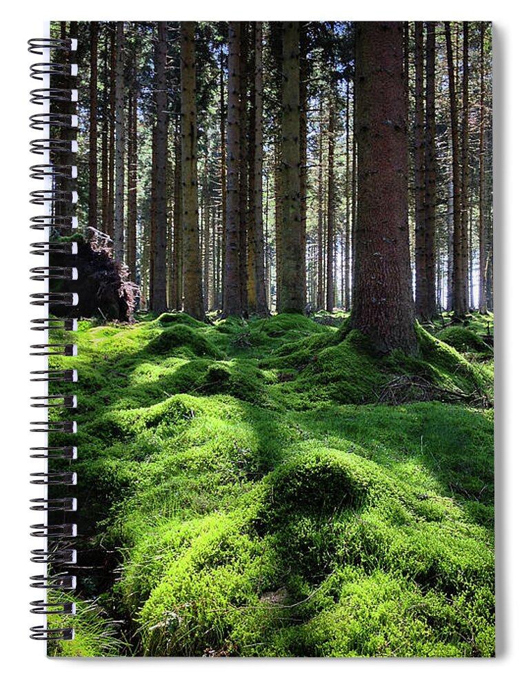 England Spiral Notebook featuring the photograph Forest of Verdacy by Geoff Smith