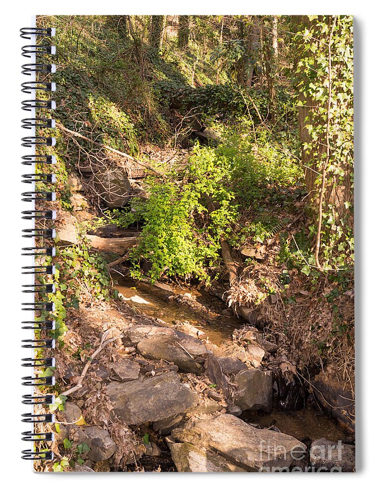 Stream Spiral Notebook featuring the photograph Forest Stream in the Mountains in Springtime by MM Anderson