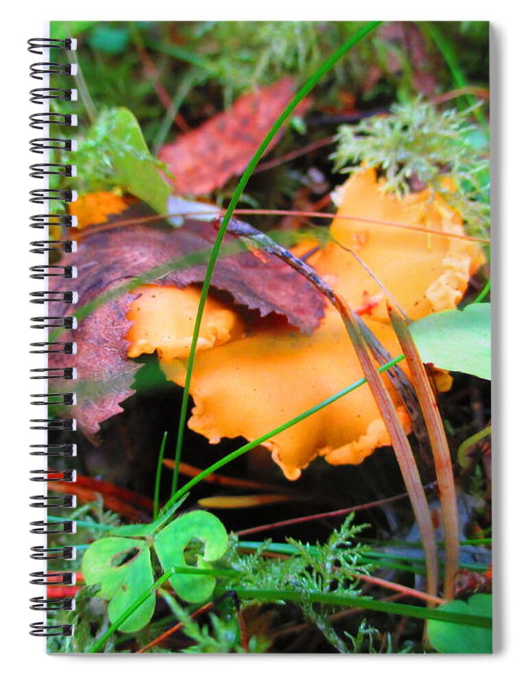 Food Spiral Notebook featuring the photograph Forest Treasure by Martin Howard
