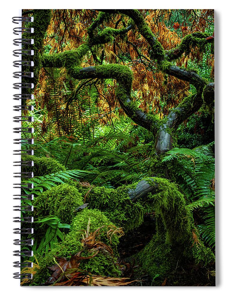 5dsr Spiral Notebook featuring the photograph Forever Green by Edgars Erglis