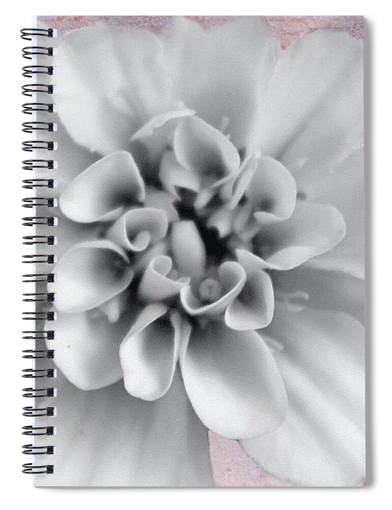 Flower Spiral Notebook featuring the photograph Forever Yours by Nina Silver