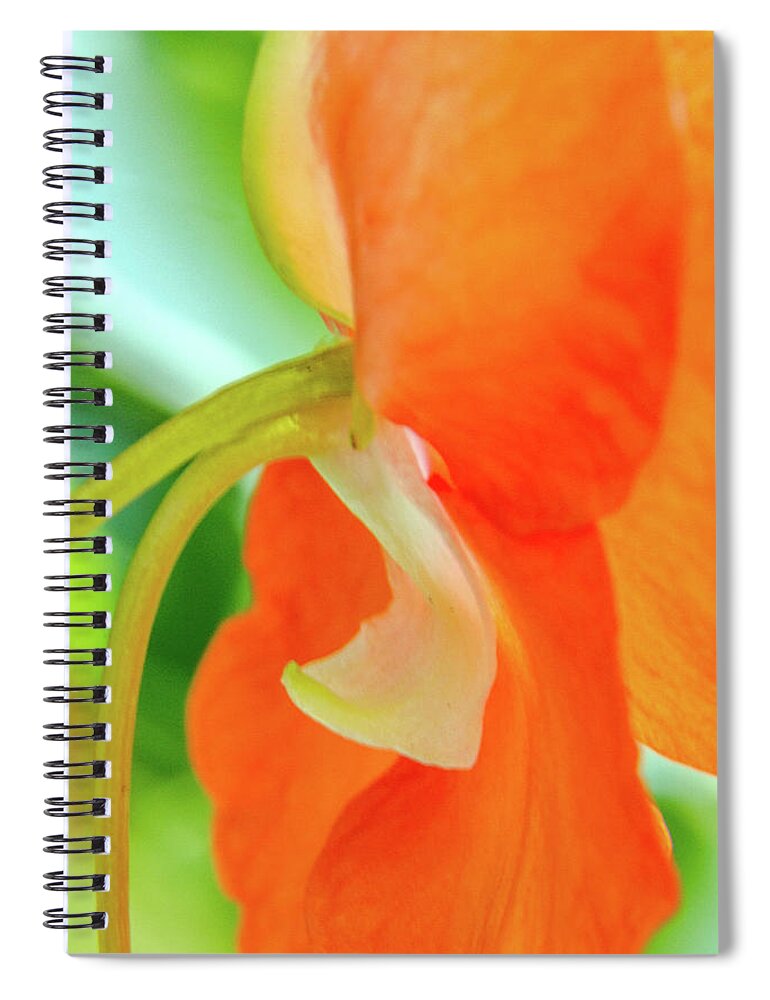Flower Spiral Notebook featuring the photograph Forget Me Not by Bill Gallagher