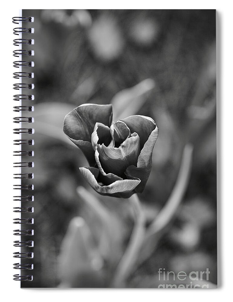 Tulip Spiral Notebook featuring the photograph Form by Lara Morrison