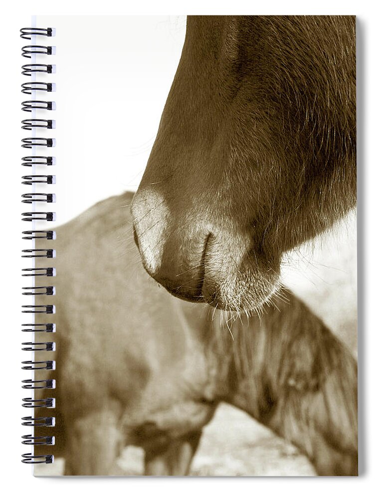 Horse Spiral Notebook featuring the photograph Form of a Horse by Toni Hopper