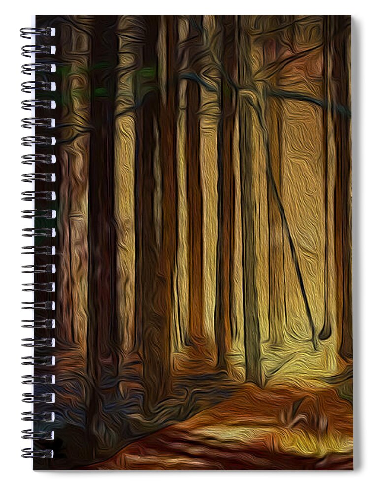 Artwork For Sale Spiral Notebook featuring the digital art Forrest sun by Vincent Franco