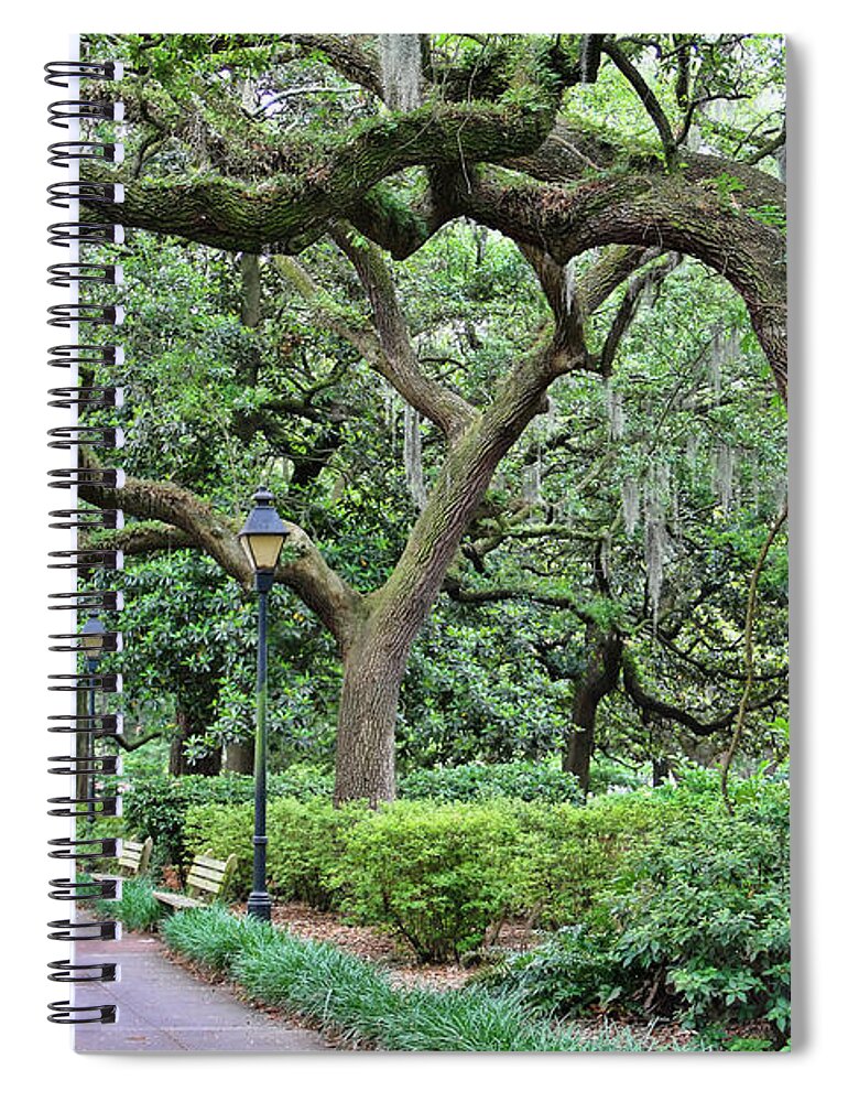 Forsyth Park Spiral Notebook featuring the photograph Forsyth Park Sidewalk 3198 by Jack Schultz