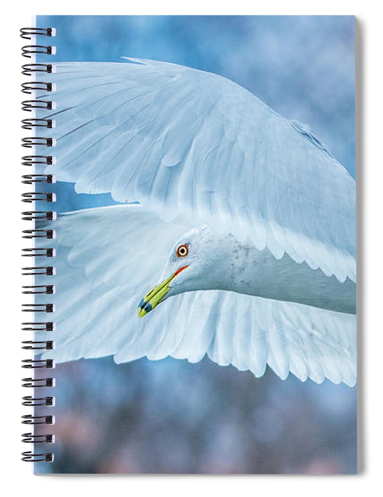 20170128 Spiral Notebook featuring the photograph Forward Flight by Jeff at JSJ Photography