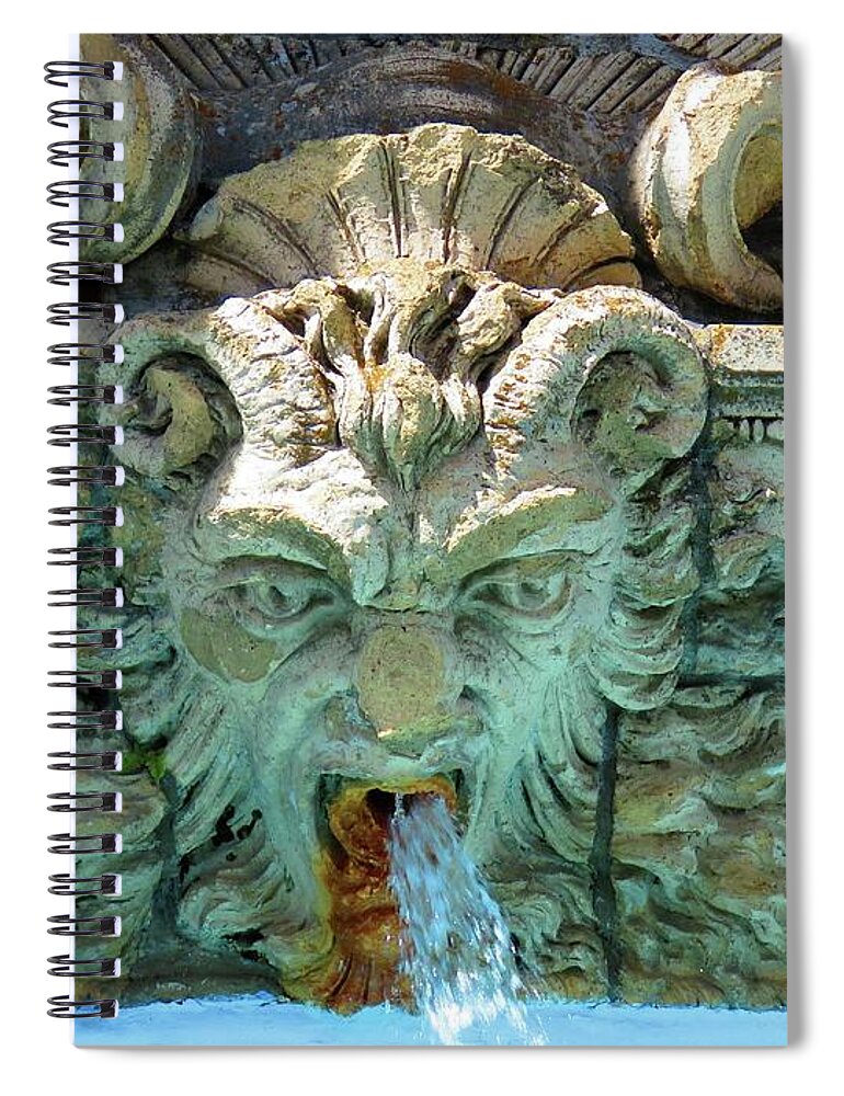 Thousand Island Spiral Notebook featuring the photograph The Fountain by Dennis McCarthy