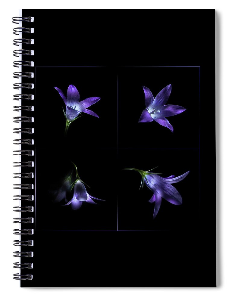 Bluebell Spiral Notebook featuring the photograph Four bluebell flowers - light painting by Alexey Kljatov