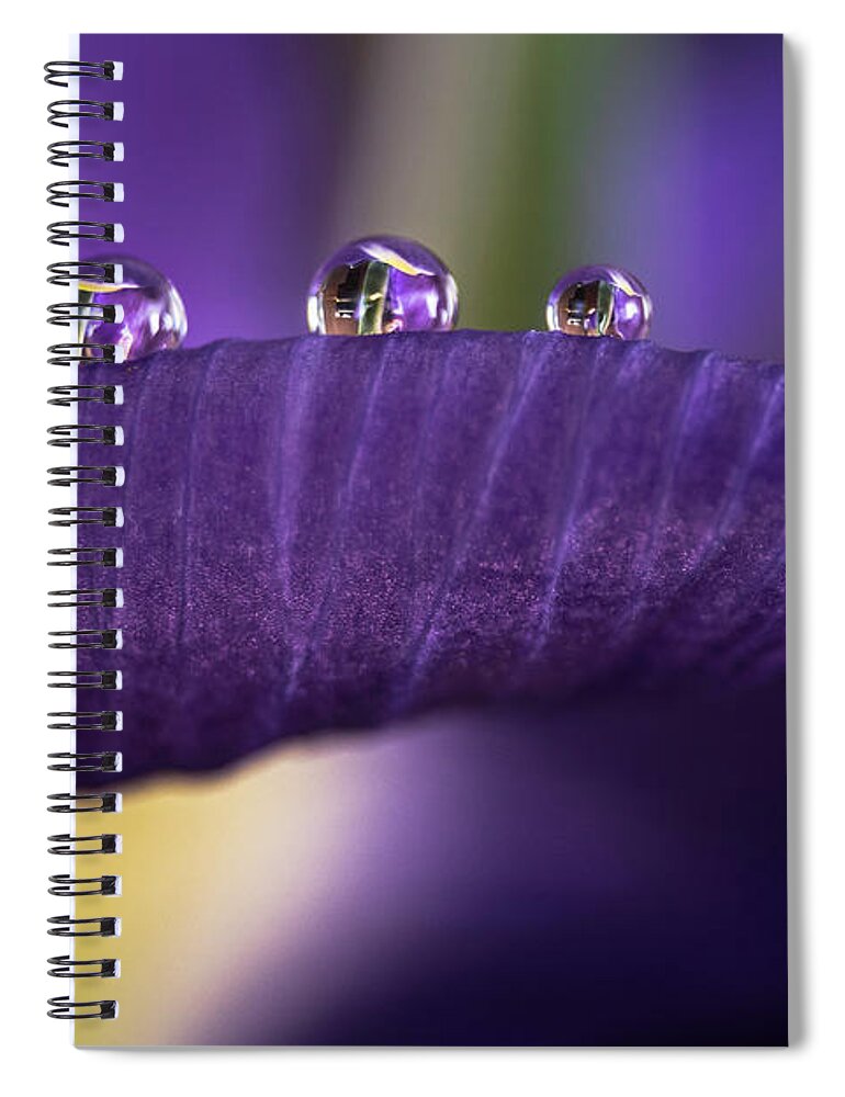 Drops Spiral Notebook featuring the photograph Four drops by Wolfgang Stocker