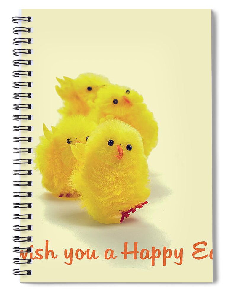 Animal Spiral Notebook featuring the photograph Four easter chickens by Patricia Hofmeester