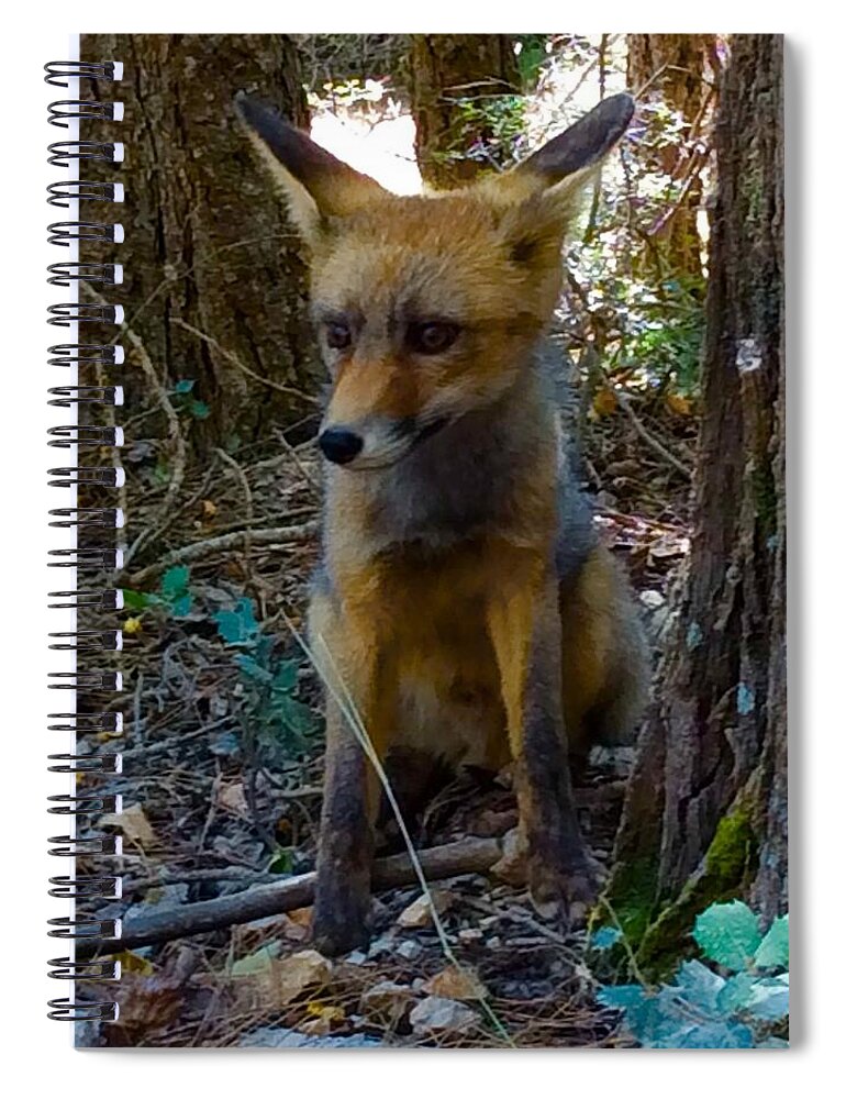 Colette Spiral Notebook featuring the photograph Fox Joy by Colette V Hera Guggenheim