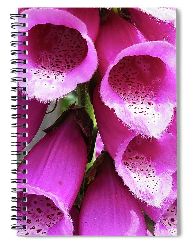 Tubular Flowers Spiral Notebook featuring the photograph Foxglove For The Love Of It by Leslie Montgomery