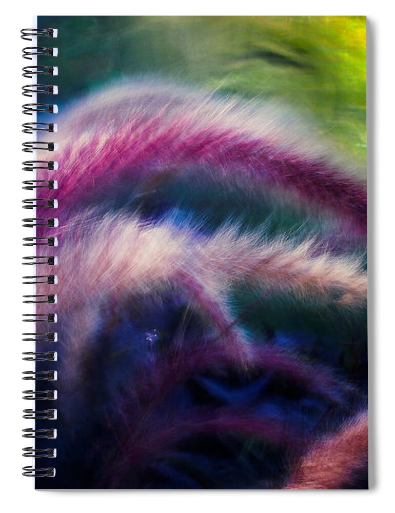 Plants Spiral Notebook featuring the photograph Foxtails in Shadows by Rikk Flohr