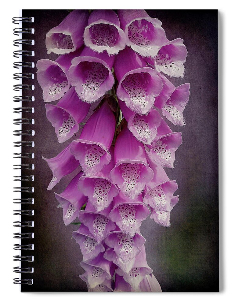 Foxglove Spiral Notebook featuring the photograph Foxy Lady by Leslie Montgomery