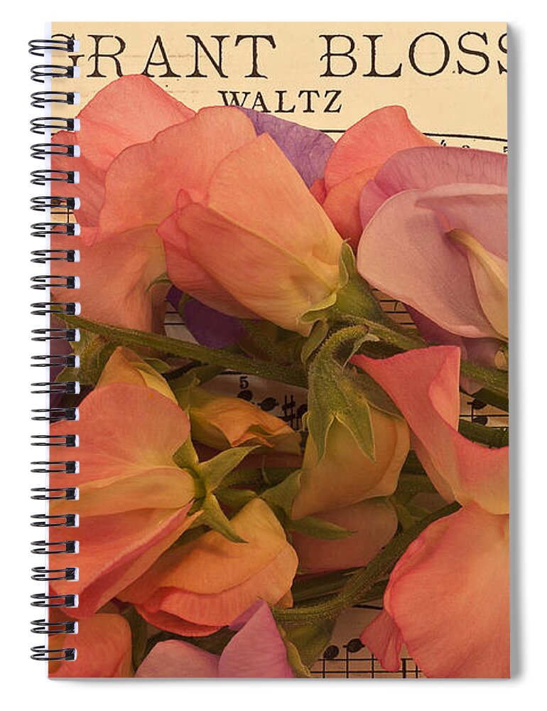 Fragrant Blossoms Spiral Notebook featuring the photograph Fragrant Blossoms by Sandra Foster