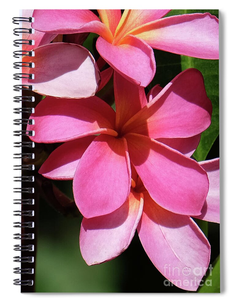 Hawaii Spiral Notebook featuring the photograph Frangipani by Mini Arora