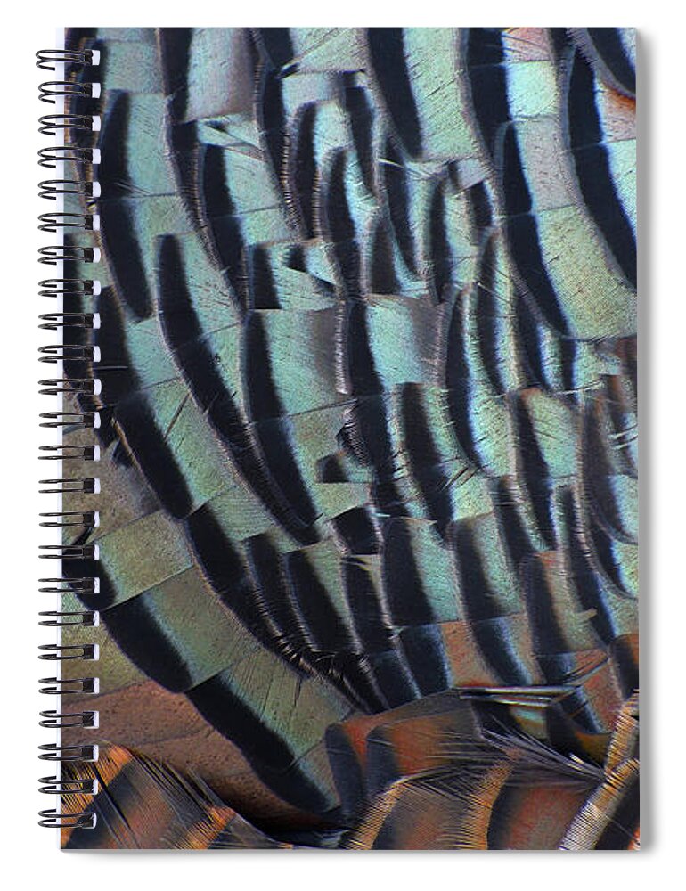 Wild Turkey Spiral Notebook featuring the photograph Franklin's Choice by Tony Beck