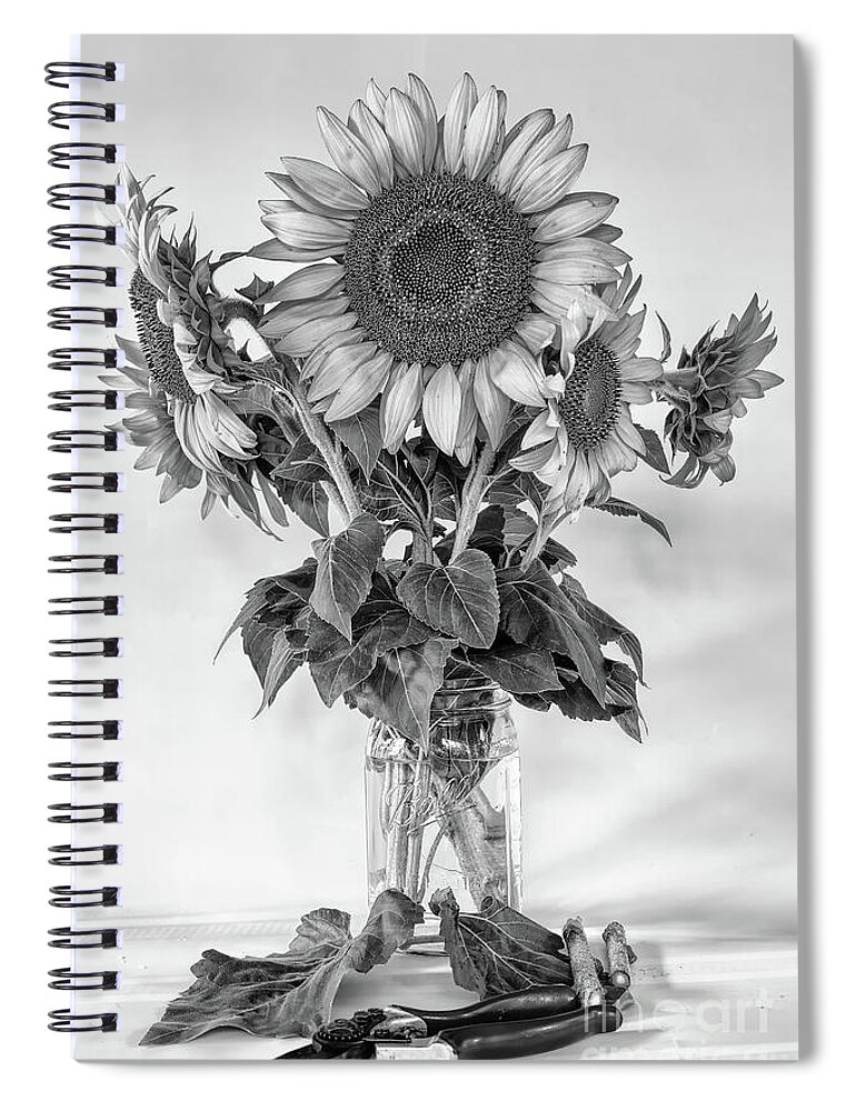 Sunflowers Spiral Notebook featuring the photograph Fresh Cut by Nicki McManus