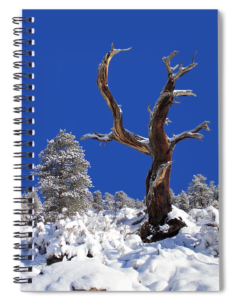 Snow Spiral Notebook featuring the photograph Fresh Snow by Shane Bechler