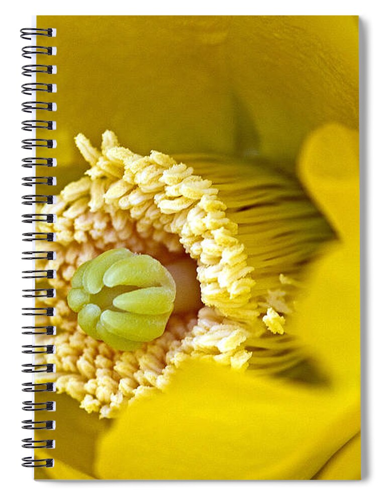 Prickly Spiral Notebook featuring the photograph Fresh Start by Farol Tomson