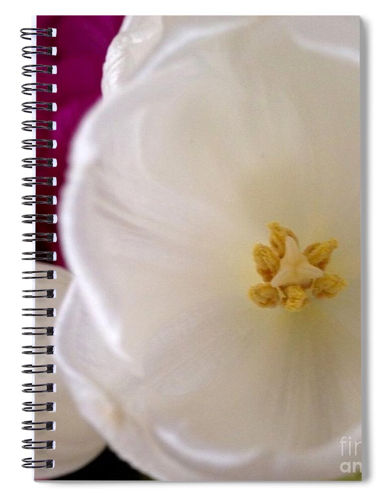Flowers Spiral Notebook featuring the photograph Friendship by Denise Railey