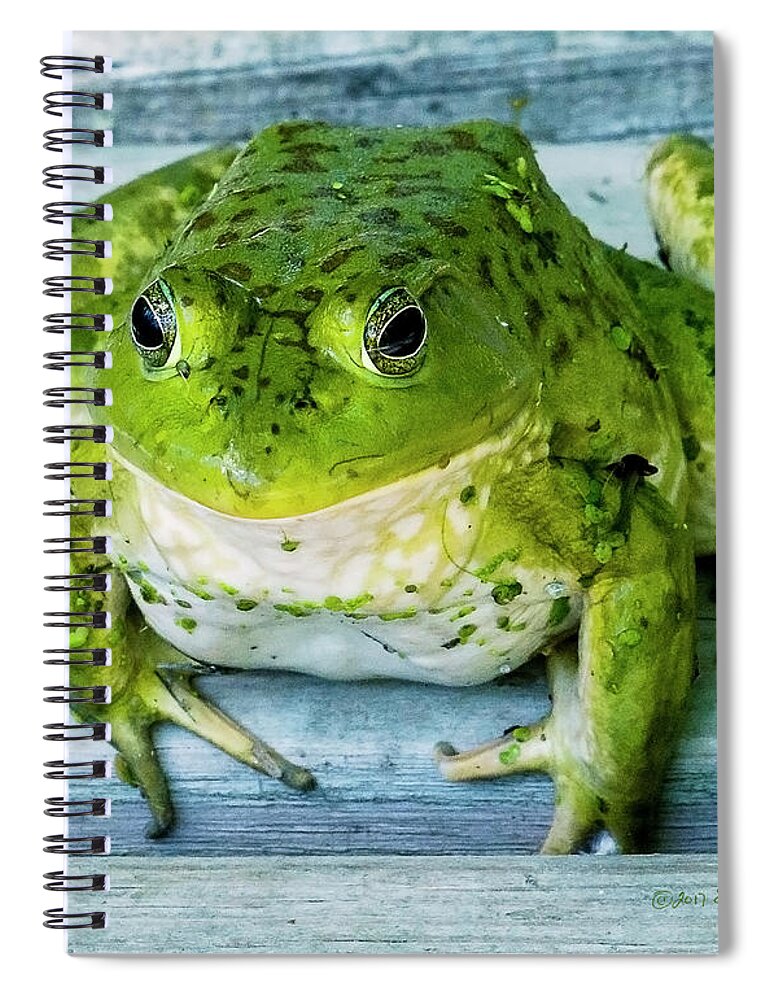 Frog Spiral Notebook featuring the photograph Frog Portrait by Ed Peterson