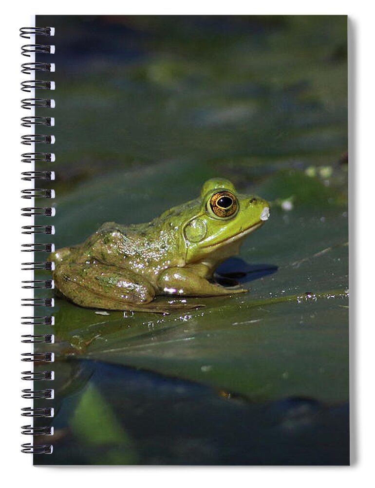 Frog Spiral Notebook featuring the photograph Froggy 2 by Douglas Stucky