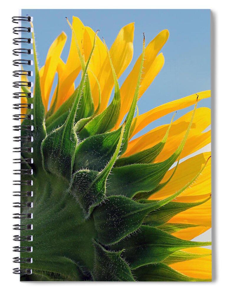 Flowers Spiral Notebook featuring the photograph From Behind by Christopher McKenzie