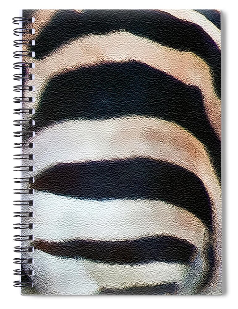 Zebra Spiral Notebook featuring the photograph From Behind by Hanny Heim