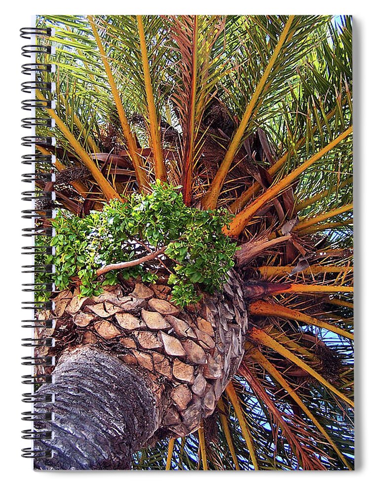 From Down Under Spiral Notebook featuring the photograph From Down Under by Jennifer Robin