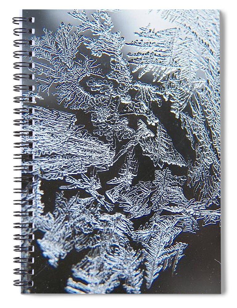 Frost Spiral Notebook featuring the photograph Frost Branches by Corinne Elizabeth Cowherd