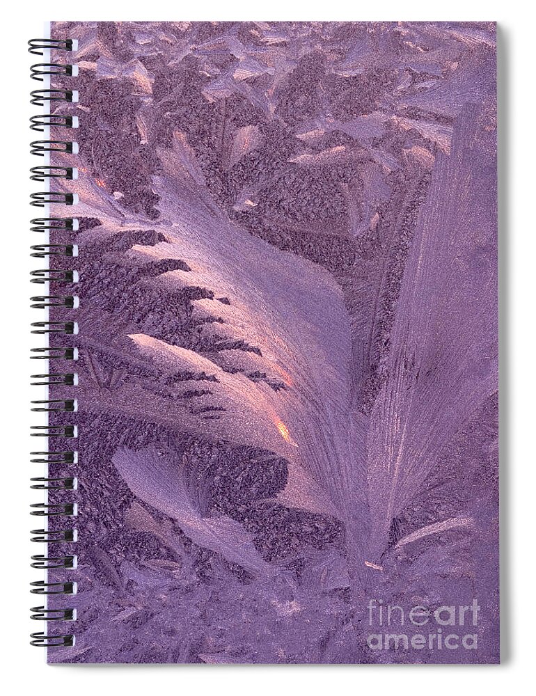 Frost Spiral Notebook featuring the photograph Frost Frosty Window by George Robinson