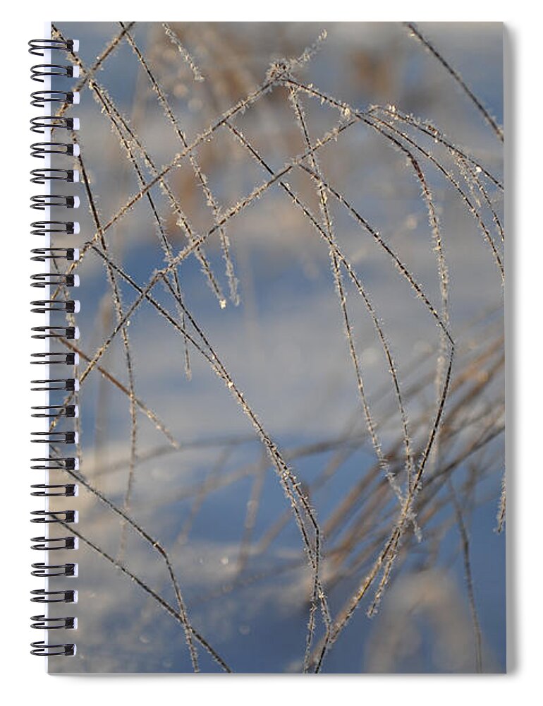 December Spiral Notebook featuring the photograph Frosted Lines by Randi Grace Nilsberg