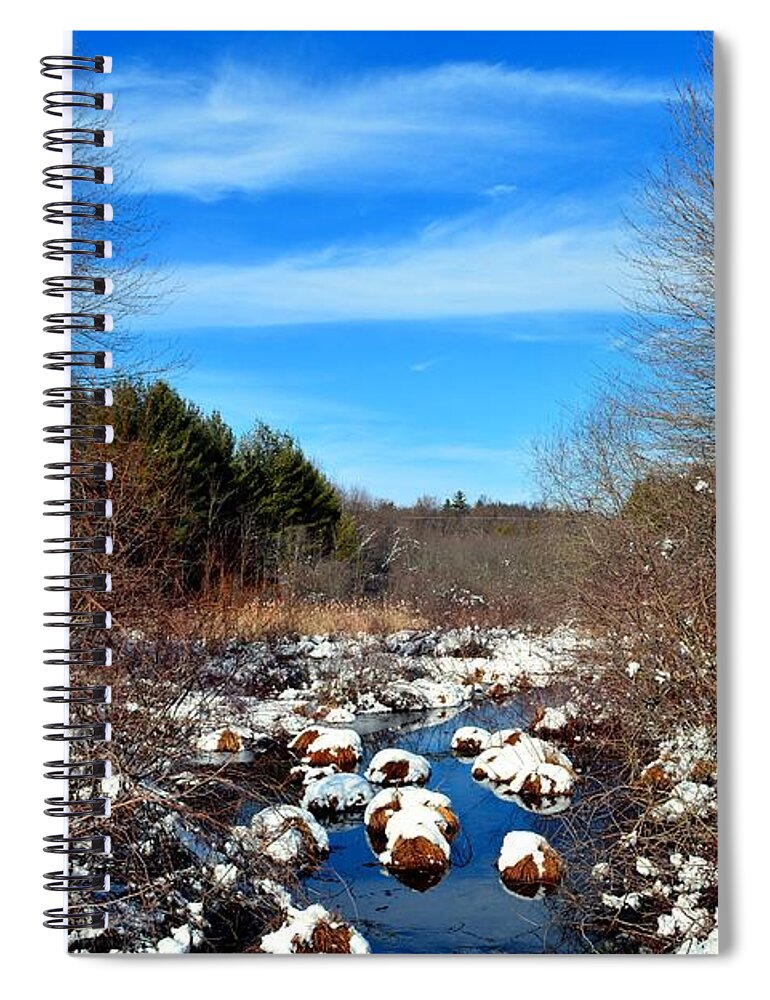 Snow Spiral Notebook featuring the photograph Frosted River Grass by Dani McEvoy
