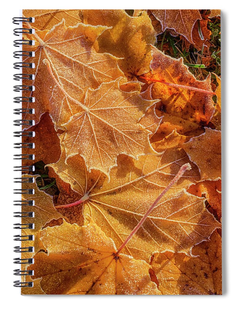 Atmosphere Spiral Notebook featuring the photograph Frosted by Veikko Suikkanen