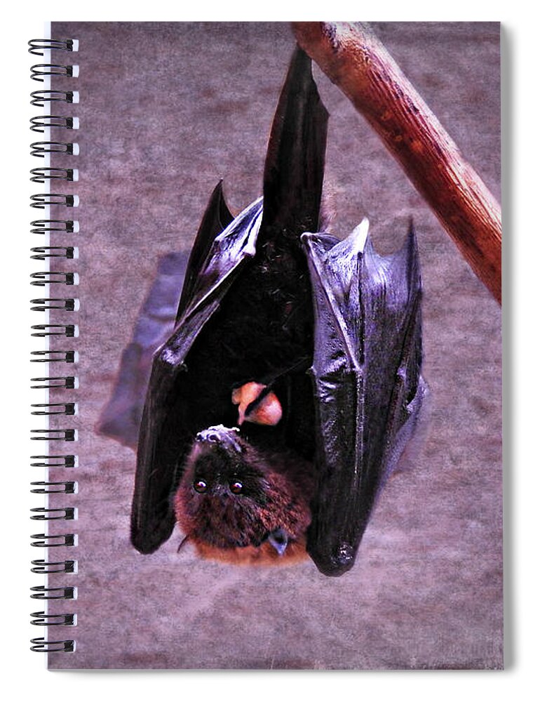 Fruit Bat Spiral Notebook featuring the photograph Fruit Bat by Dark Whimsy
