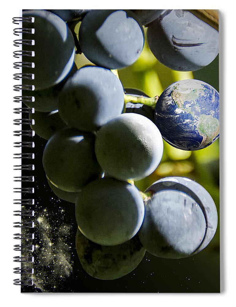 2d Spiral Notebook featuring the photograph Fruit Of The Vine by Brian Wallace