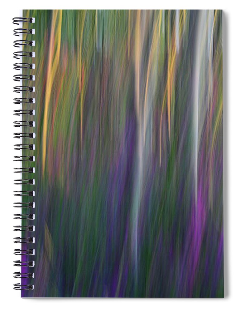 Fuchsia Spiral Notebook featuring the photograph Fuchsia at Dawn by Whispering Peaks Photography